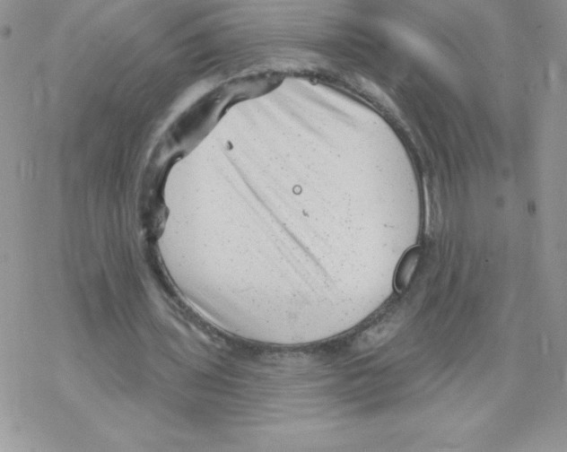 X0000077350435200611171902