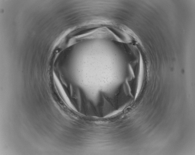 X0000077350436200611171902