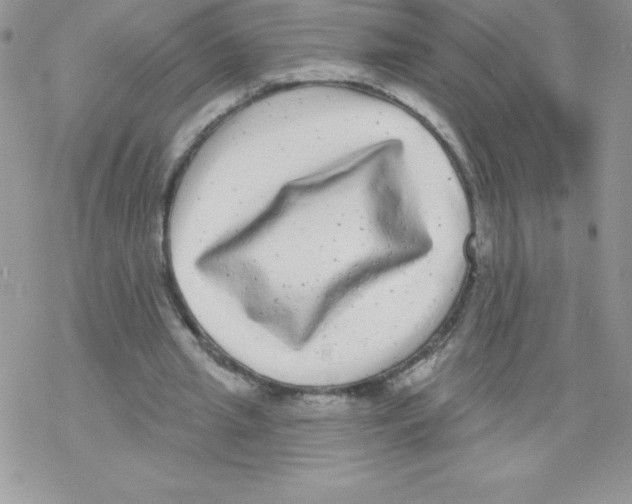 X0000077350437200611171902