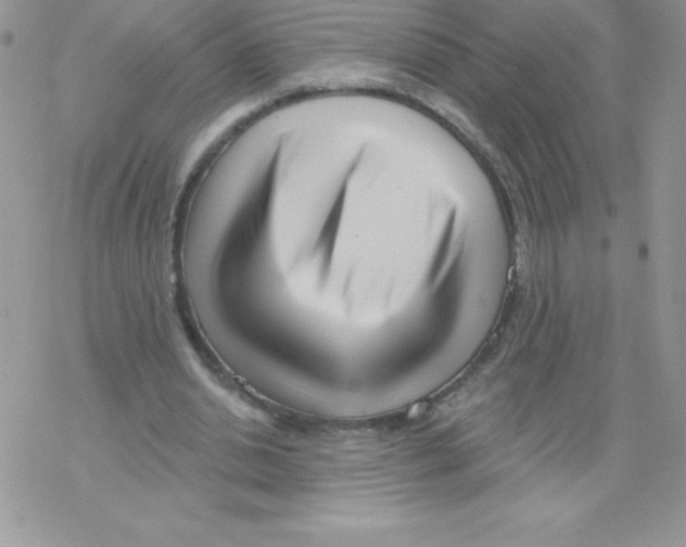 X0000077350438200611171902