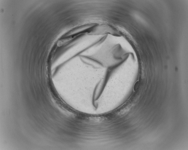 X0000077350439200611171902