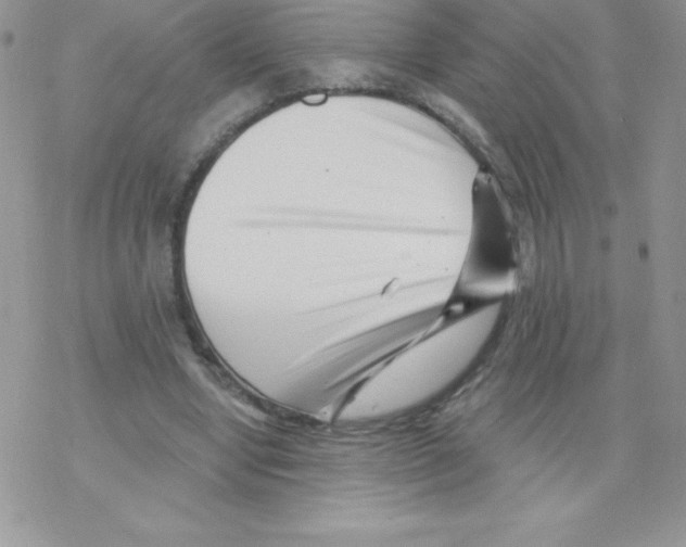 X0000077350442200611171902