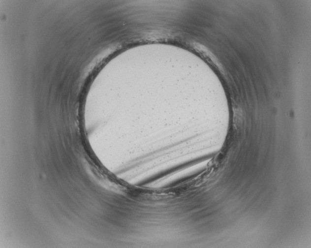 X0000077350443200611171902