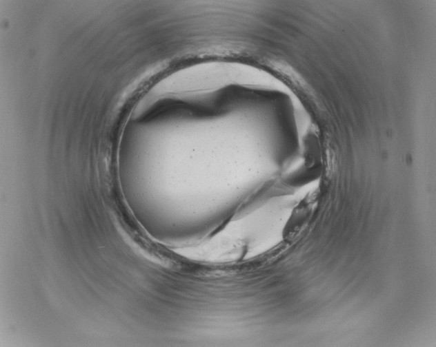 X0000077350444200611171902