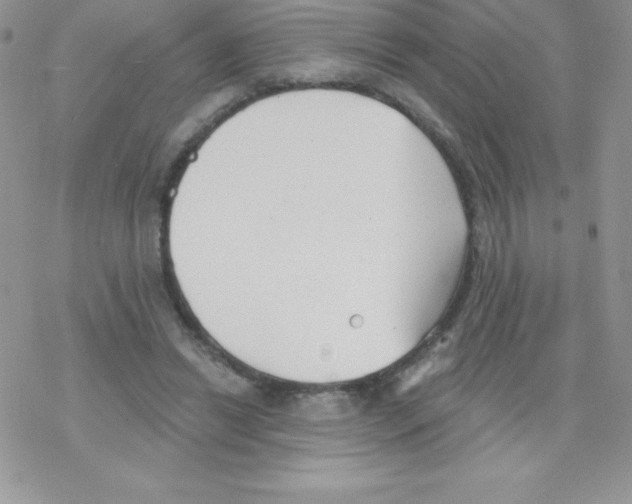 X0000077350446200611171902