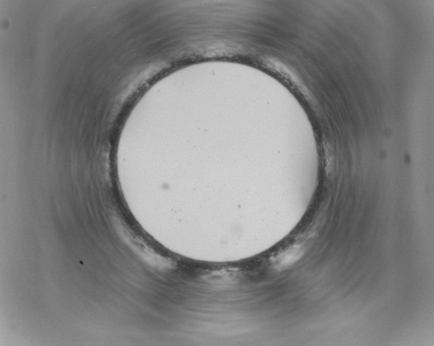 X0000077350447200611171902