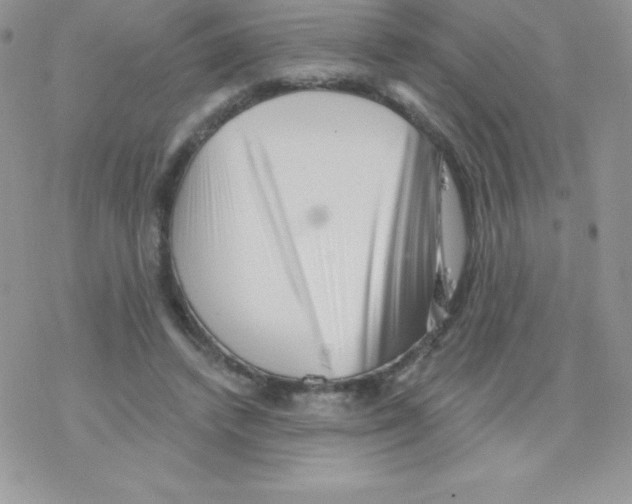 X0000077350448200611171902