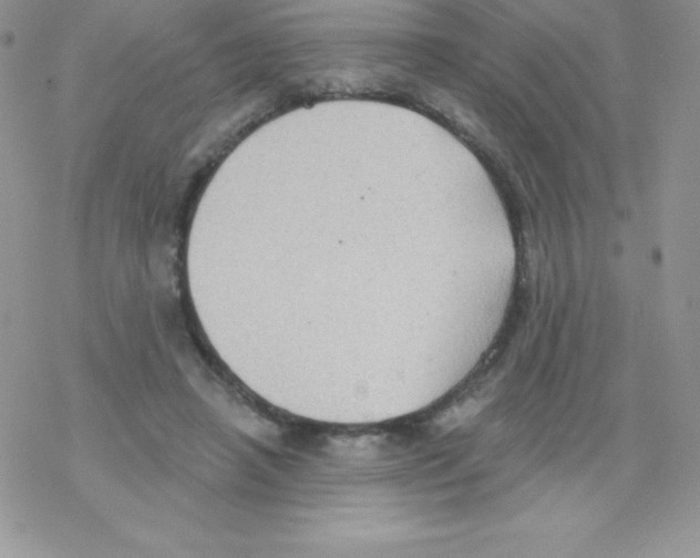 X0000077350450200611171902