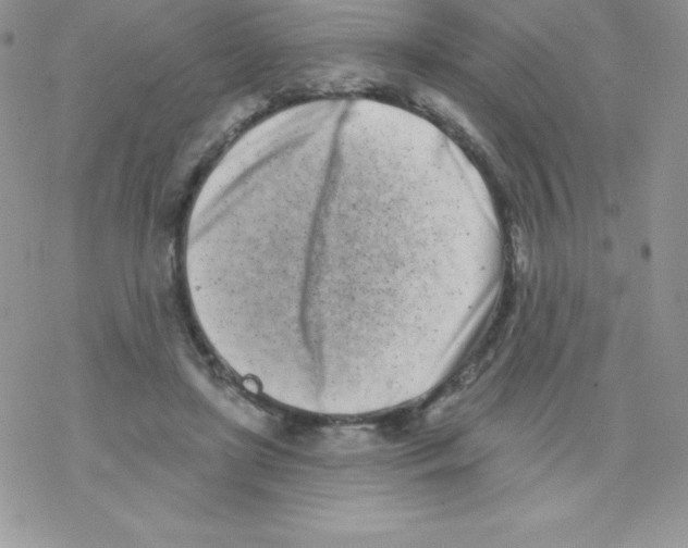 X0000077350451200611171902