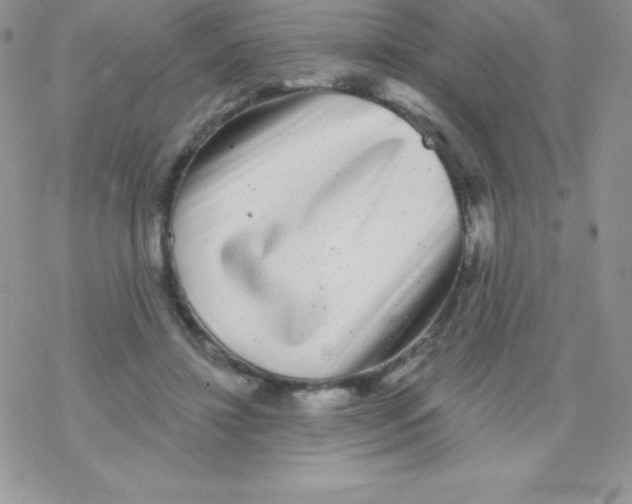 X0000077350452200611171902