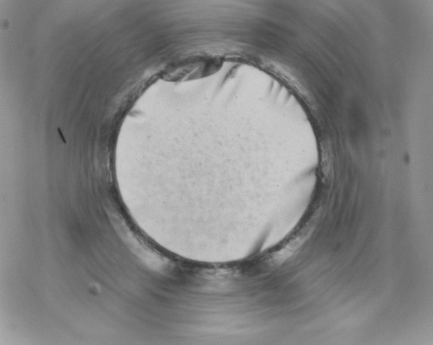 X0000077350453200611171902