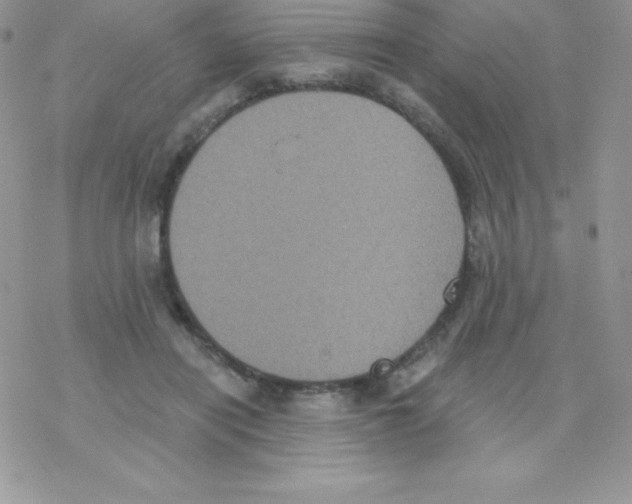 X0000077350454200611171902