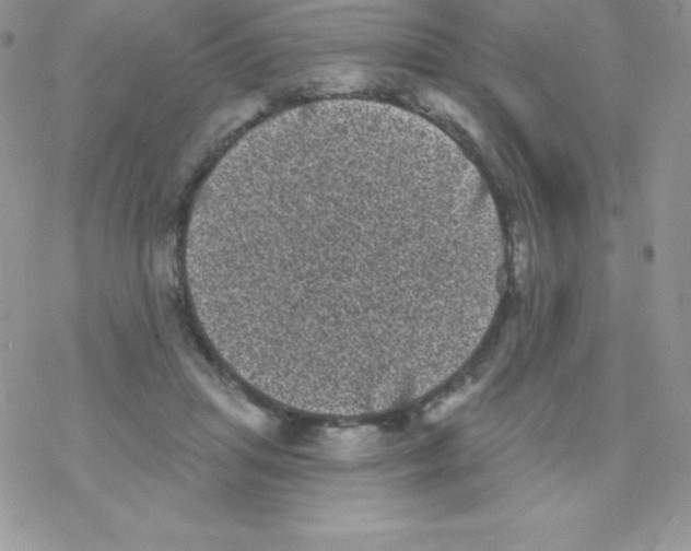 X0000077350455200611171902