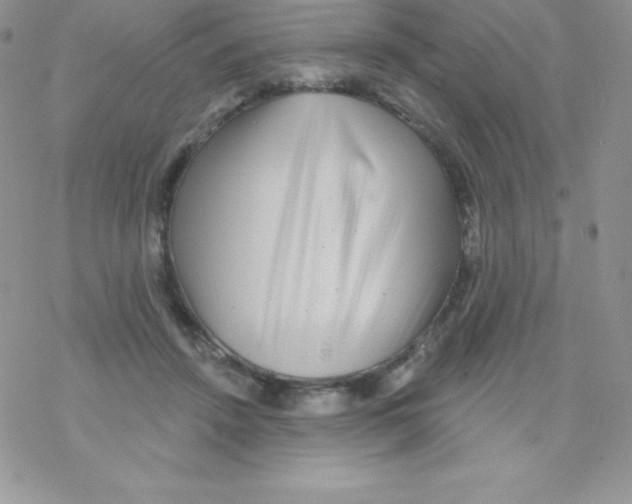 X0000077350456200611171902