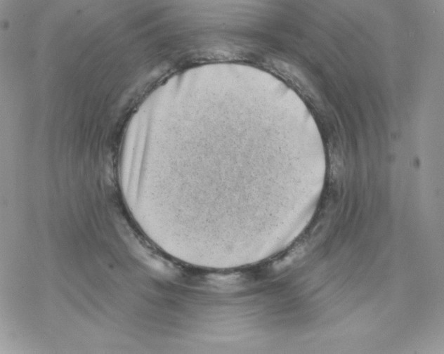 X0000077350457200611171902