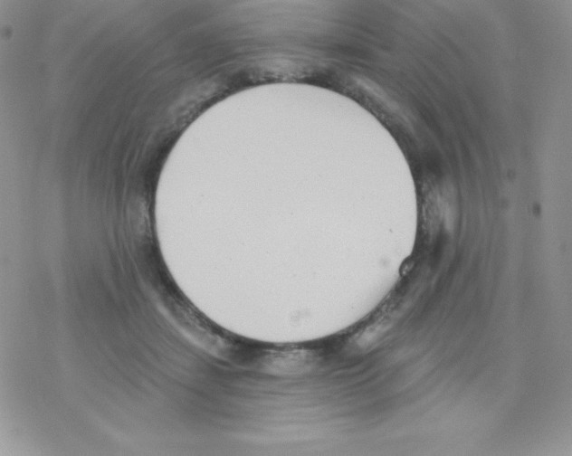 X0000077350459200611171902