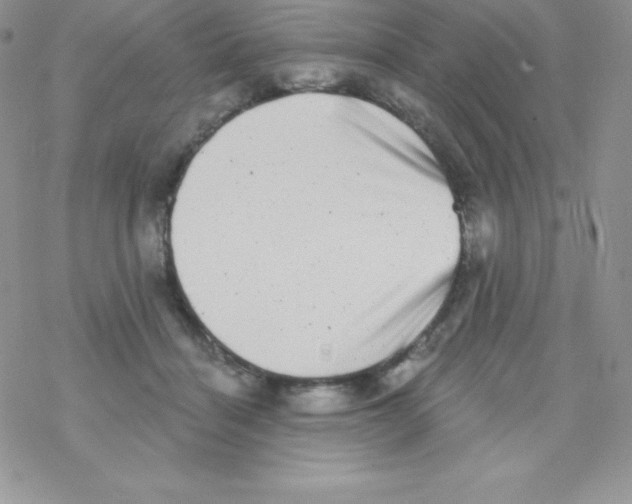 X0000077350460200611171902