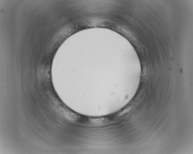 X0000077350461200611171902