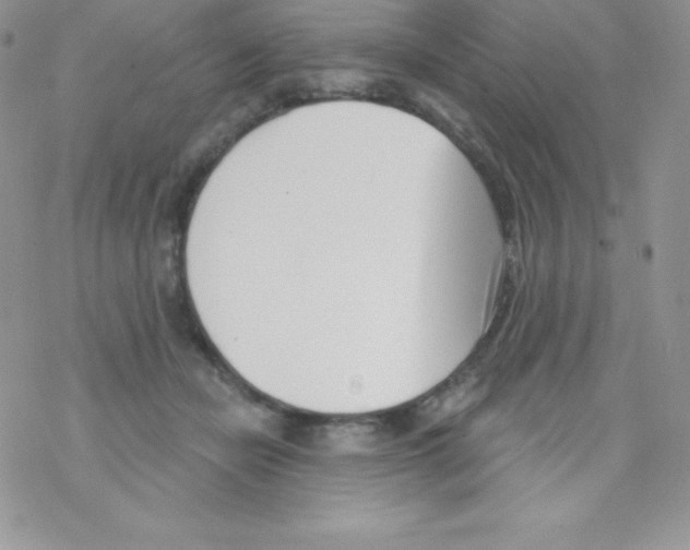 X0000077350462200611171902