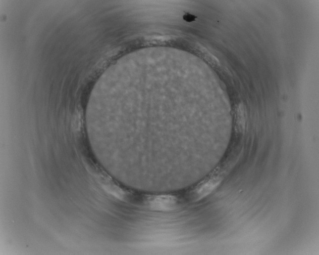 X0000077350463200611171902