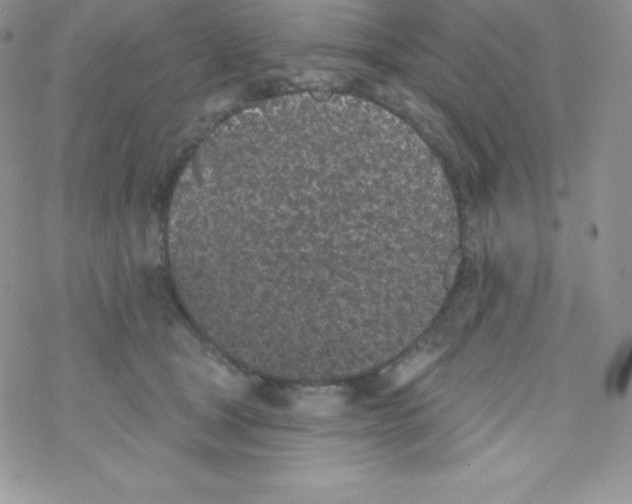 X0000077350465200611171902