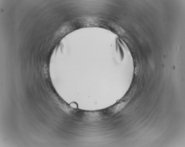 X0000077350469200611171902