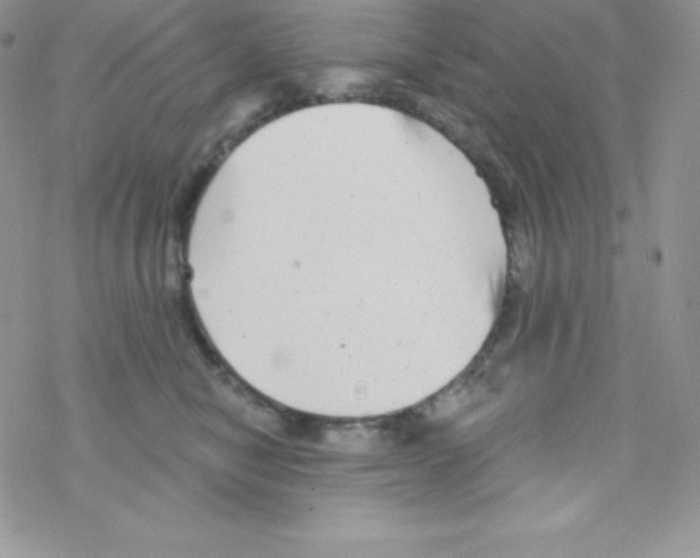 X0000077350470200611171902