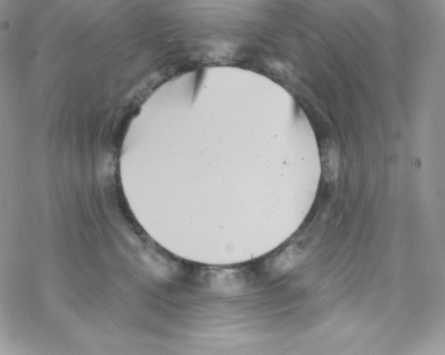 X0000077350472200611171902