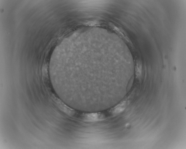 X0000077350473200611171902