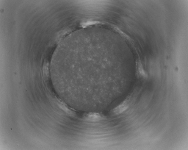 X0000077350475200611171902