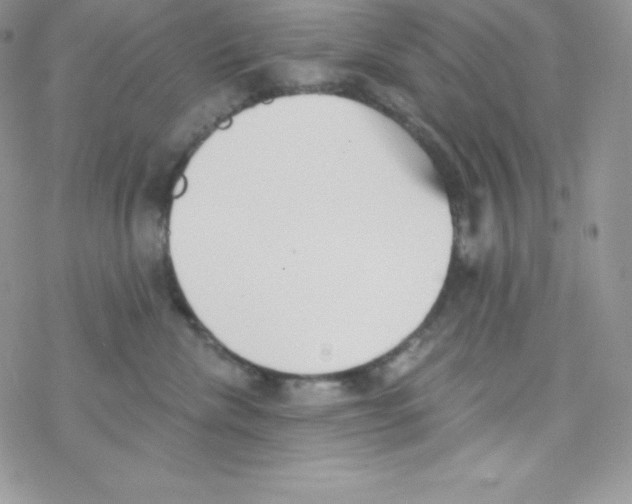 X0000077350476200611171903