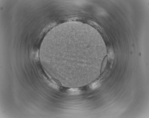 X0000077350477200611171903