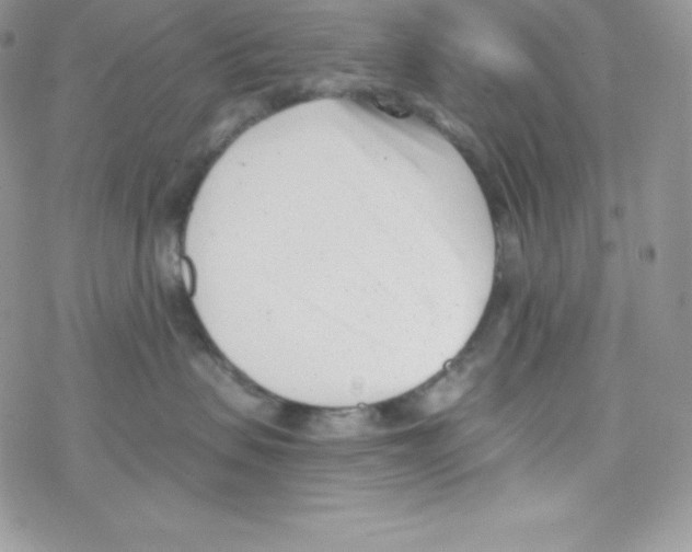 X0000077350479200611171903