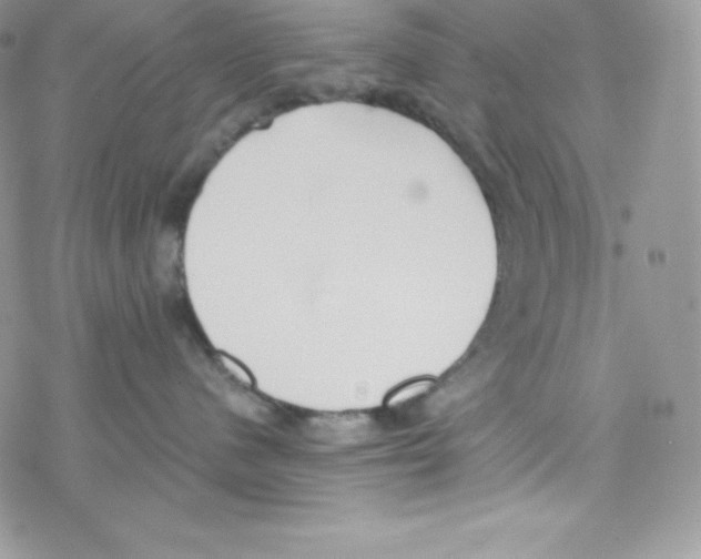 X0000077350480200611171903