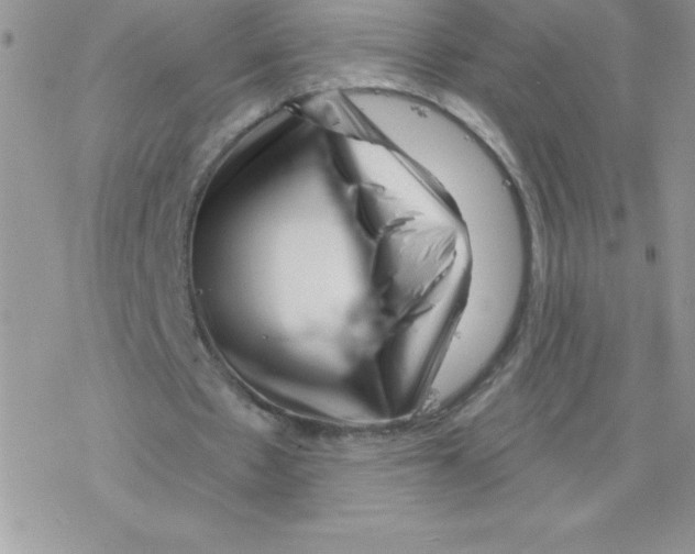 X0000077350481200611171902