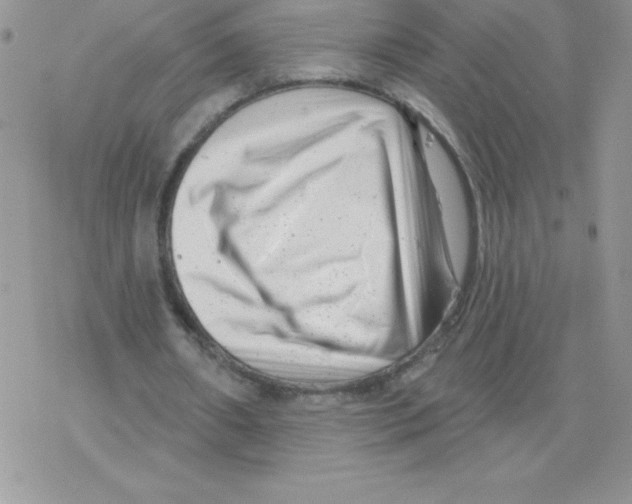 X0000077350482200611171902