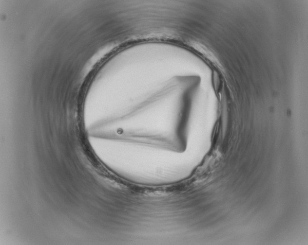 X0000077350483200611171902