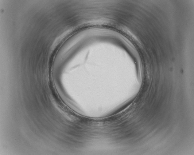 X0000077350486200611171902