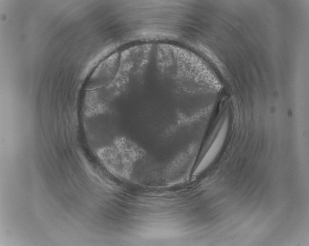 X0000077350488200611171902