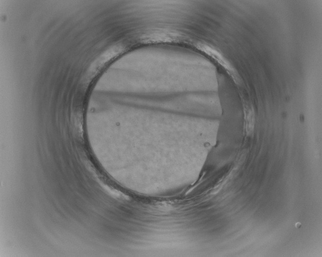 X0000077350489200611171902