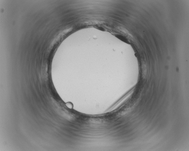 X0000077350490200611171902