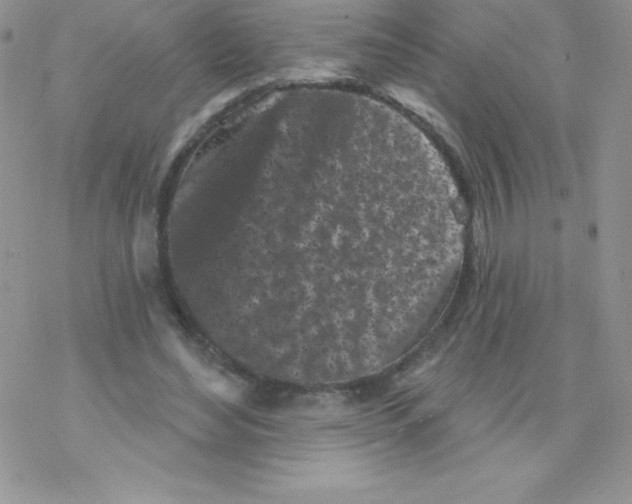 X0000077350492200611171902