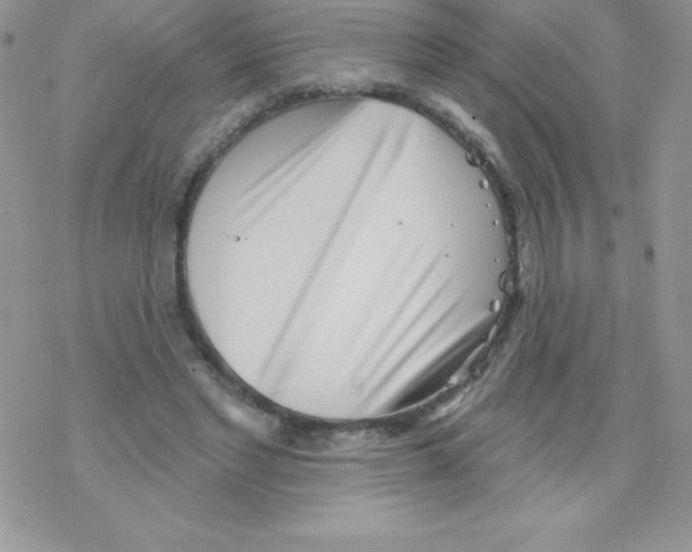 X0000077350493200611171902