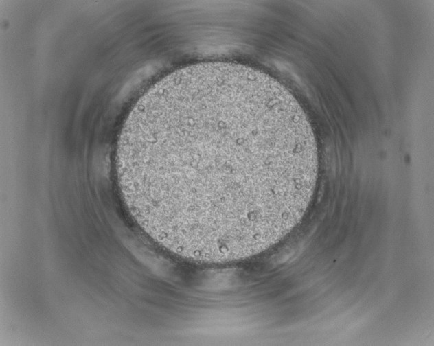 X0000077350495200611171902