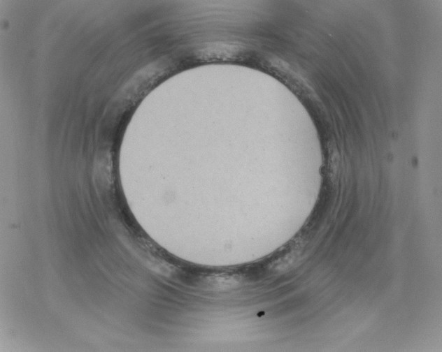 X0000077350498200611171902