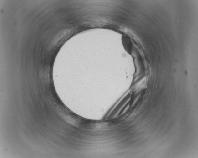 X0000077350501200611171901