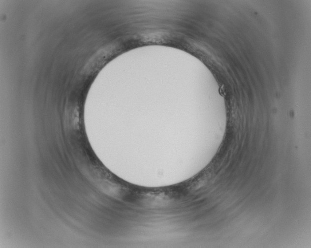 X0000077350502200611171901