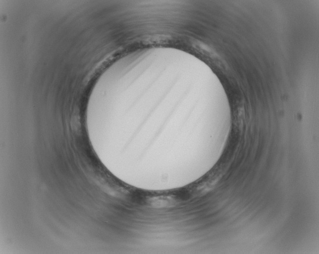 X0000077350508200611171901