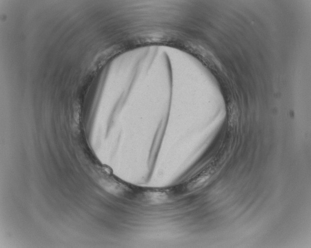 X0000077350509200611171901