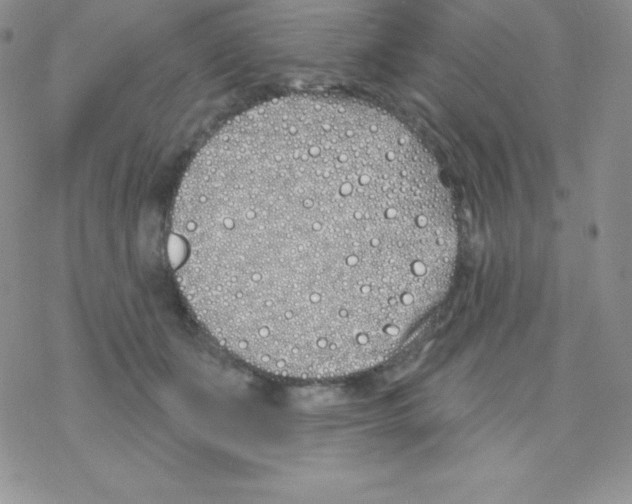 X0000077350511200611171901